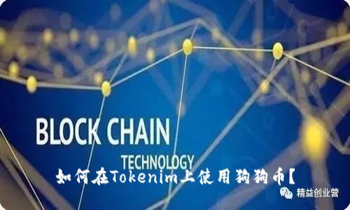 如何在Tokenim上使用狗狗币？