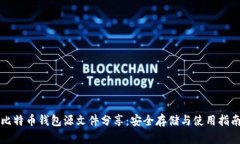 比特币钱包源文件分享：安全存储与使用指南