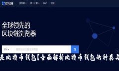 什么是比特币钱包？全面解析比特币钱包的种类