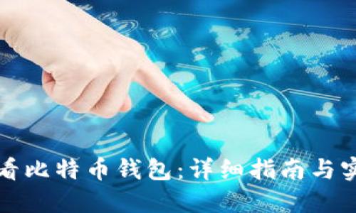 如何查看比特币钱包：详细指南与实用技巧