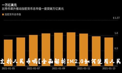 IM2.0交易支持人民币吗？全面解析IM2.0如何使用人民币进行交易