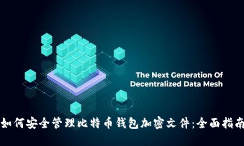 如何安全管理比特币钱包加密文件：全面指南