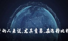 比特币钱包的选择：国内用户的最佳选择指南比