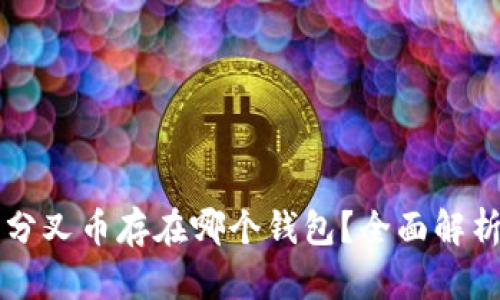 比特币分叉币存在哪个钱包？全面解析与推荐