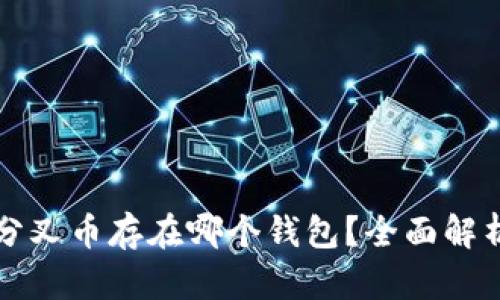 比特币分叉币存在哪个钱包？全面解析与推荐