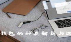 区块链钱包的种类解析与选择指南