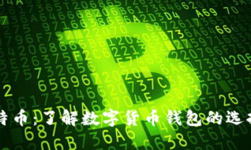 比特币与莱特币：了解数字货币钱包的选择与使用指南