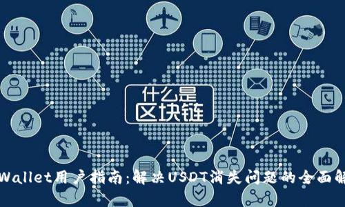 tpWallet用户指南：解决USDT消失问题的全面解析