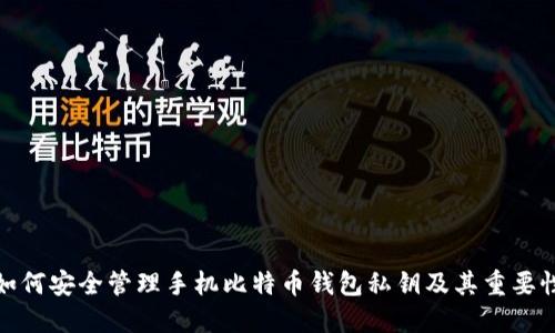 如何安全管理手机比特币钱包私钥及其重要性