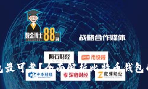 比特币哪个钱包最可靠？全面解析比特币钱包的选择和安全性