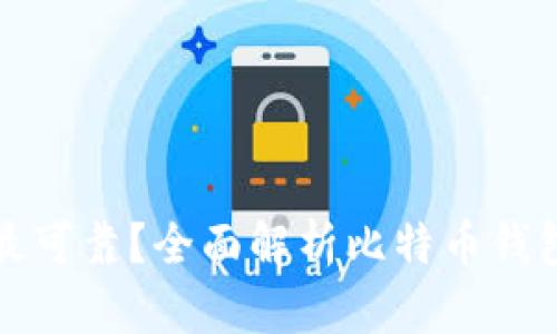 比特币哪个钱包最可靠？全面解析比特币钱包的选择和安全性