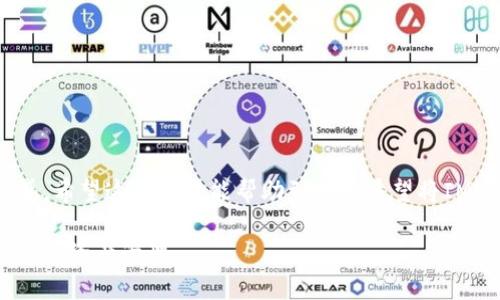   如何将IM2.0导入DDW钱包的详细指南 / 

 guanjianci IM2.0, DDW钱包, 导入教程 /guanjianci 

在数字资产管理日益重要的今天，越来越多的人开始使用各种数字钱包来保存和管理他们的加密货币。其中，IM2.0和DDW钱包是比较常见的选择。IM2.0通常涉及社交、娱乐或某种特定应用，而DDW钱包则是一个安全和便捷的数字资产存储工具。在这篇文章中，我们将详细探讨如何将IM2.0导入DDW钱包，提供一个全面的操作指南以及相关知识，帮助用户更好地管理他们的数字资产。

### 一、什么是IM2.0及其功能？

IM2.0是一个集多种功能的数字平台，用户可以在上面进行社交、娱乐或参与各种在线活动。它可能作为一种数字货币的载体，帮助用户在平台内购买商品或服务。IM2.0的主要特点包括用户友好的界面、丰富的互动功能和安全的支付系统。这使得用户可以在其中轻松地管理和使用他们的数字资产。

### 二、什么是DDW钱包？

DDW钱包是一种功能齐全的数字货币钱包，设计之初便意在为用户提供安全、便捷的数字资产管理服务。它支持多种加密货币，可以存储、发送和接收不同种类的资产。此外，DDW钱包还具备强大的安全性，如双重验证、冷存储等功能，旨在保障用户的资金安全。

### 三、将IM2.0导入DDW钱包的步骤

将IM2.0导入DDW钱包并不复杂，只需要按照下面几个步骤操作即可：

#### 第一步：准备工作

在进行导入之前，确保你已经拥有DDW钱包的账户，并下载了相关的应用程序。此外，还需确保你的IM2.0账户正常，账户内有足够的数字资产。

#### 第二步：登录DDW钱包

打开DDW钱包的应用程序或网页，在登录界面输入你的账户信息登录。如果你还没有创建账户，请先进行注册并完成身份验证，以确保安全性。

#### 第三步：获取IM2.0的导入数据

在IM2.0平台，找到你希望导入的数字资产信息和对应的私钥或助记词。安全起见，建议在一个安全的地方记录这些信息，避免丢失。

#### 第四步：在DDW钱包中导入资产

登录后，在DDW钱包的主界面找到“导入钱包”或“资产管理”选项，选择“导入”功能。按照系统的提示输入你在IM2.0获取的私钥或助记词，完成验证。

#### 第五步：确认导入成功

导入成功后，你可以在DDW钱包的资产列表中看到IM2.0的资产信息。为了确保一切正常，建议发送少量资产进行测试。

### 四、常见问题解答

#### 问题1：导入IM2.0时，需要注意什么？

导入IM2.0时，用户需要确保私钥或助记词的安全性。任何人获得了这些信息都能访问你的账户。此外，确认输入的信息是准确无误的，以避免导入失败。

#### 问题2：如何确保DDW钱包的安全？

确保DDW钱包安全有几点可以注意：一是开启双重验证；二是使用冷钱包存储大额资产；三是定期备份钱包信息；四是避免在公共网络下使用钱包。同时，注意更新钱包软件至最新版本，防止漏洞被利用。

#### 问题3：IM2.0是否与其他钱包兼容？

IM2.0通常可以与多种主流钱包兼容，但这取决于IM2.0平台和数字资产的类型。为了确保与你所使用的钱包兼容，最好查看IM2.0的官方文档或联系客服进行确认。

#### 问题4：导入资产失败的原因是什么？

导入资产失败可能由于多个因素导致，如私钥或助记词输入错误、网络不稳定或DDW钱包本身的问题等。确保你的互联网连接良好，并仔细检查输入的信息是否正确。

#### 问题5：是否可以撤销导入操作？

导入操作在大多数情况下是不可逆的，尤其是当资产已成功导入并转移到DDW钱包后，因此在操作前请务必确认信息的准确性。不过，用户可以选择删除不想保留的资产。

### 结论

将IM2.0导入DDW钱包的操作过程相对简单，不过仍需保持警惕，确保私钥和助记词的安全。在这个数字时代，有效的资产管理手段，无疑能够为用户带来更大的便利和安全感。希望这篇文章能帮助到那些希望将IM2.0导入DDW钱包的用户，让他们能够顺利地享受数字资产带来的便利。

以上是对于将IM2.0导入DDW钱包的全面指南，以及常见问题的详细解答。如果用户在实际操作中遇到任何问题，请参考本指南的相关内容，或联系相关技术支持，确保顺利完成资产管理。