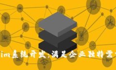 定制化Tokenim系统开发：满足企业独特需求的创新