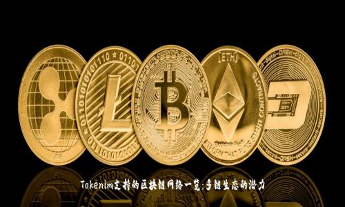 Tokenim支持的区块链网络一览：多链生态的潜力