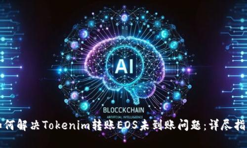 如何解决Tokenim转账EOS未到账问题：详尽指南
