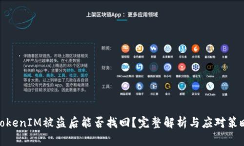 TokenIM被盗后能否找回？完整解析与应对策略