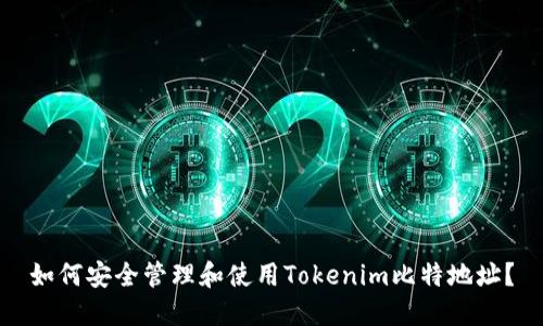 如何安全管理和使用Tokenim比特地址？