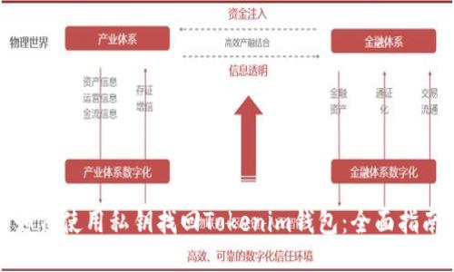 如何使用私钥找回Tokenim钱包：全面指南