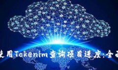如何使用Tokenim查询项目进度：全面指南