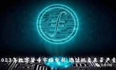 2023年数字货币市场分析：泡沫现象是否严重？